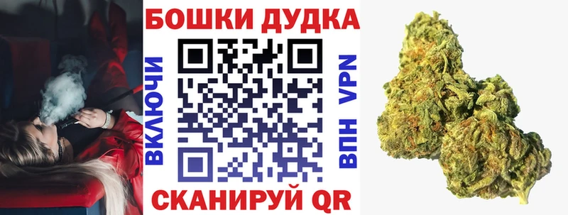 Шишки марихуана Amnesia  как найти наркотики  Майский 